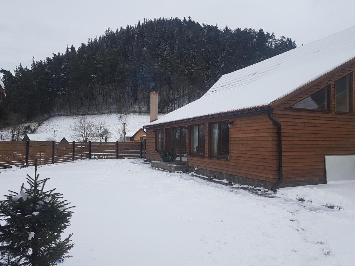 Sura Lu' Vasile. Panzió Crivina  Kültér fotó