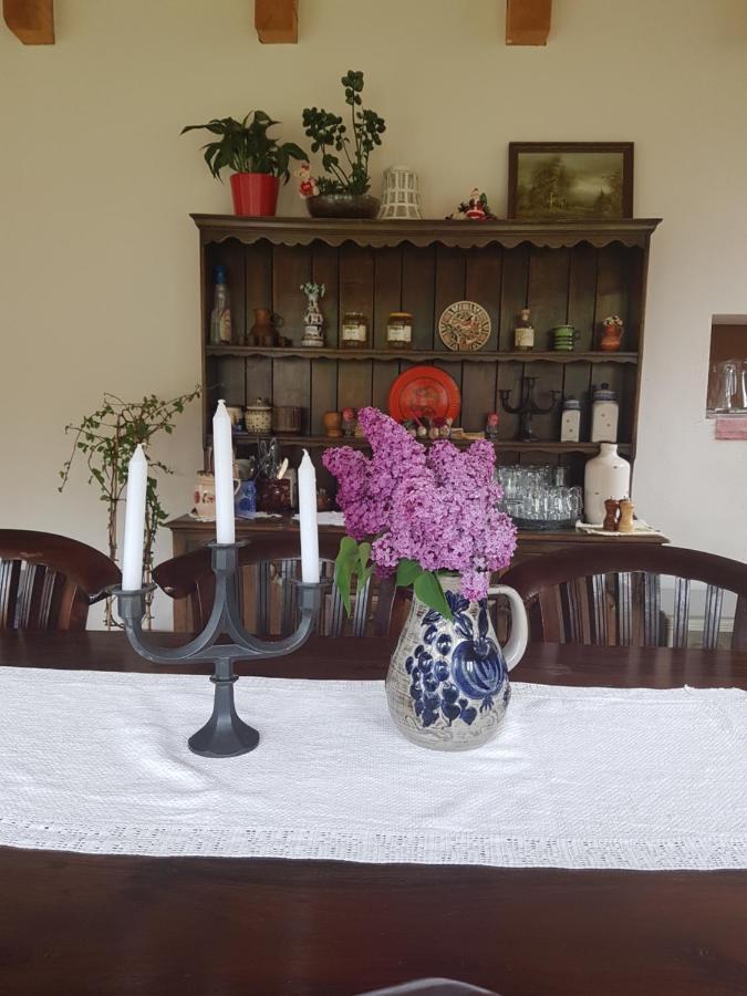 Sura Lu' Vasile. Panzió Crivina  Kültér fotó