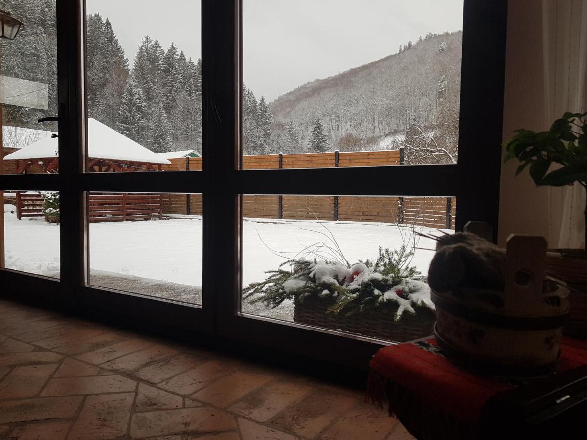 Sura Lu' Vasile. Panzió Crivina  Kültér fotó