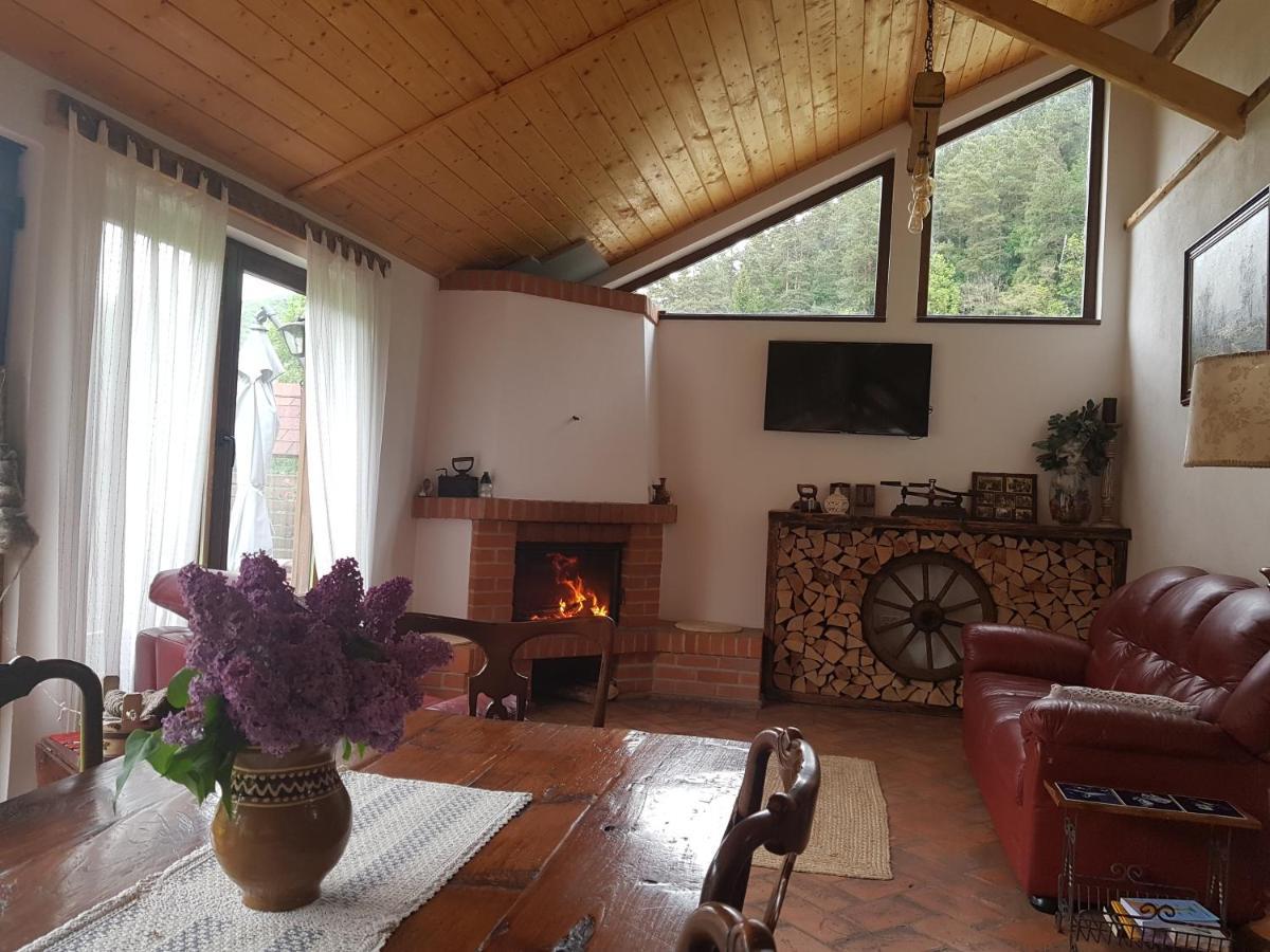 Sura Lu' Vasile. Panzió Crivina  Kültér fotó
