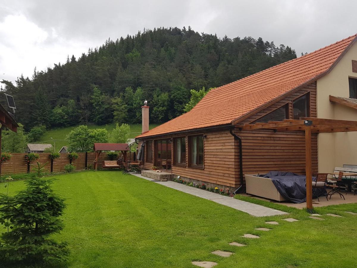 Sura Lu' Vasile. Panzió Crivina  Kültér fotó