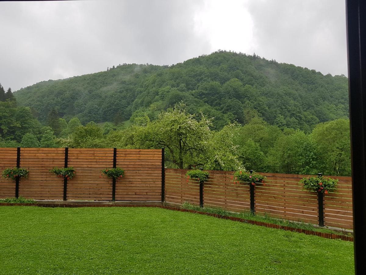 Sura Lu' Vasile. Panzió Crivina  Kültér fotó