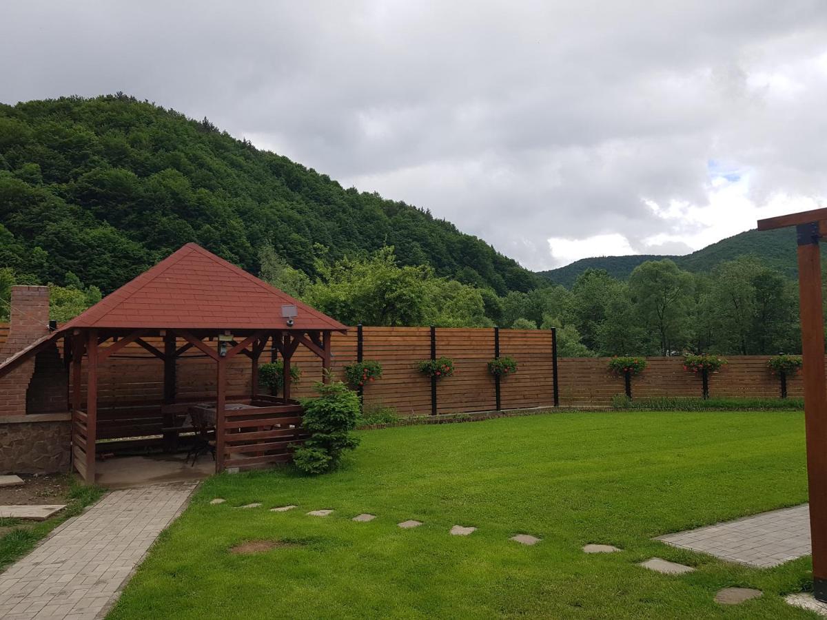 Sura Lu' Vasile. Panzió Crivina  Kültér fotó